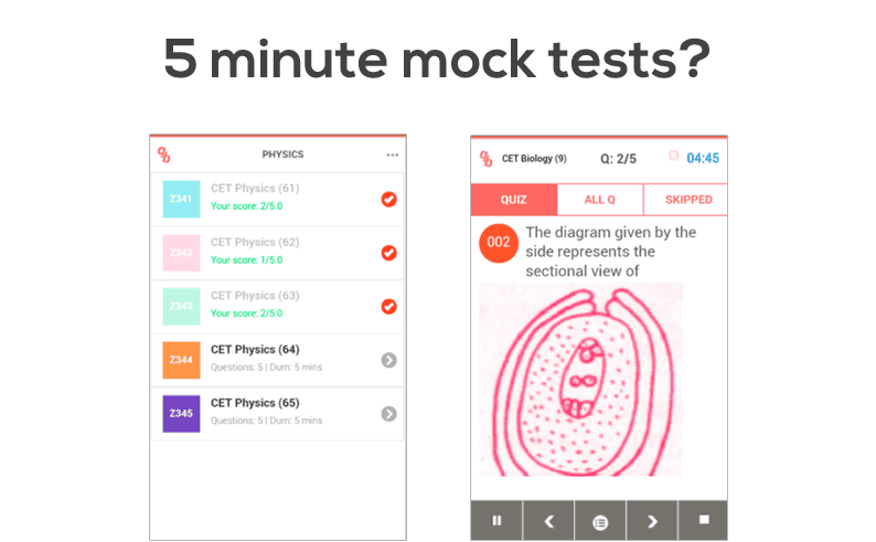 5 minute mock tests?