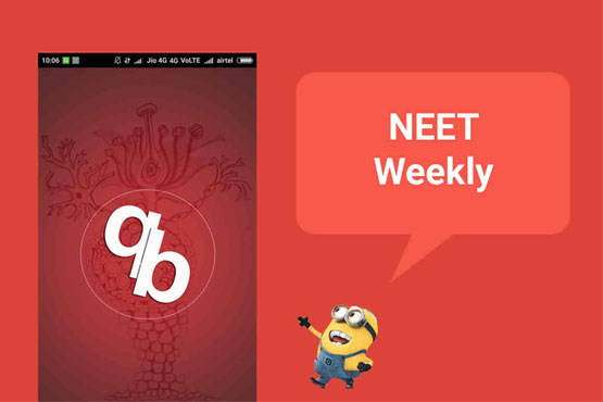 neet weekly - how it works